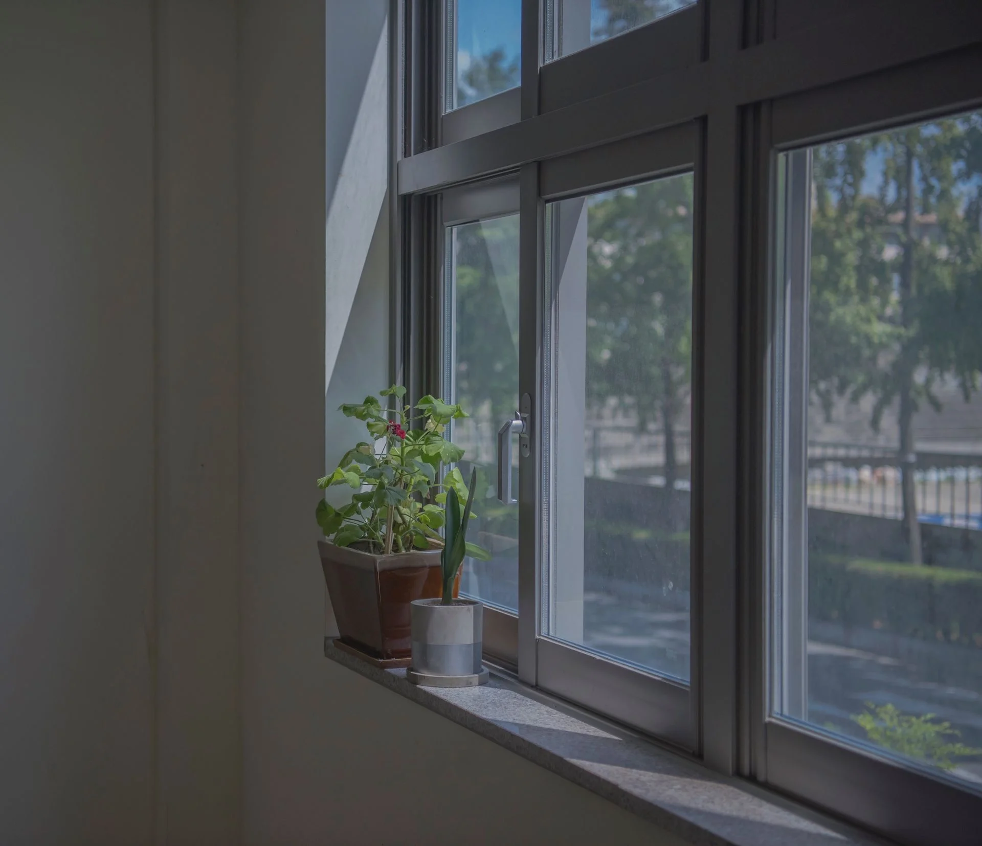 Sunlight through a home interior window; UV-blocking window film helps protect interiors from fading